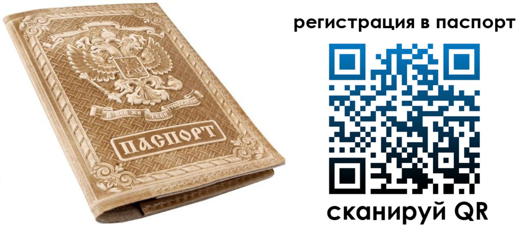 прописка в Электрогорске